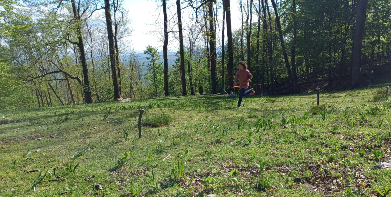 20250426_160757.jpg