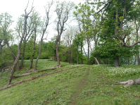 20250504_114029.jpg