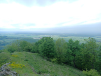 20250504_122244.jpg