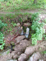 20250504_153956.jpg