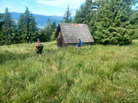 20250628_083327.jpg