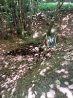 20250705_115524.jpg