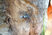 DSC02278.JPG