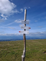 IMG-20250629-WA0030.jpg