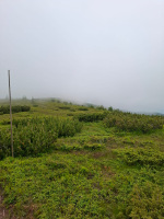 IMG-20250629-WA0037.jpg
