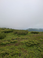 IMG-20250629-WA0038.jpg