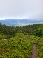 IMG-20250629-WA0039.jpg