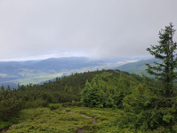 IMG-20250629-WA0040.jpg