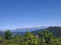 IMG-20250629-WA0044.jpg