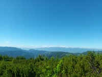 IMG-20250630-WA0001.jpg