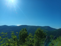 IMG-20250630-WA000428129.jpg