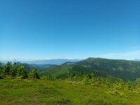 IMG-20250630-WA0011.jpg