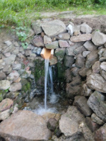 IMG-20250706-WA0027.jpg