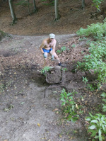 IMG-20250706-WA0037.jpg