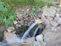 IMG-20250706-WA0041.jpg