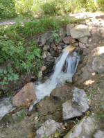 IMG-20250706-WA0055.jpg