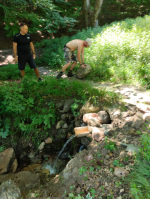 IMG-20250706-WA0060.jpg