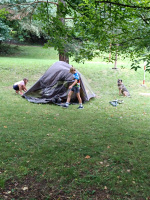 IMG-20250724-WA0004.jpg