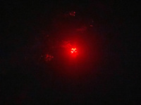 IMG-20250727-WA0103.jpg